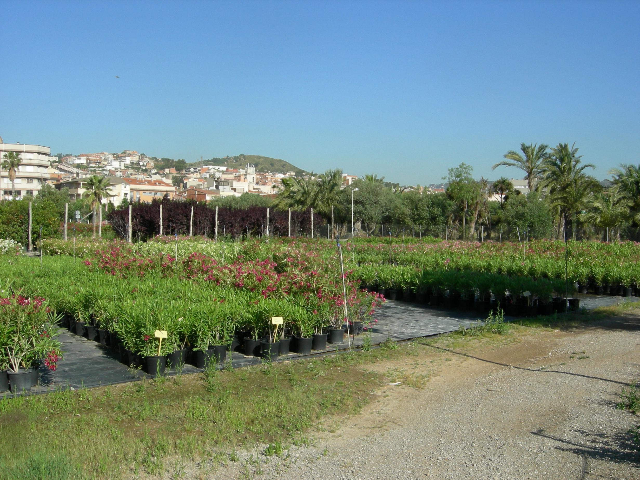 facana sud de sant vicenc dels horts on es preveuen mes de 2